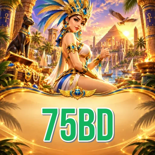 75bd Comparison